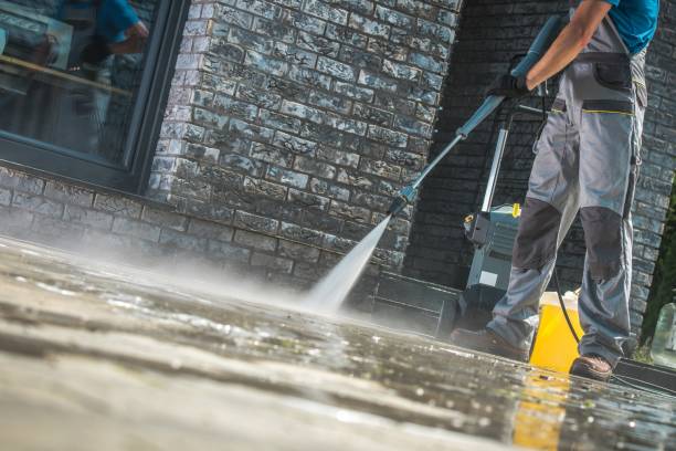 Best Dumpster Area Cleaning  in Day Valley, CA